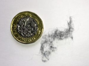 Microfibres in comparison with one pound coin